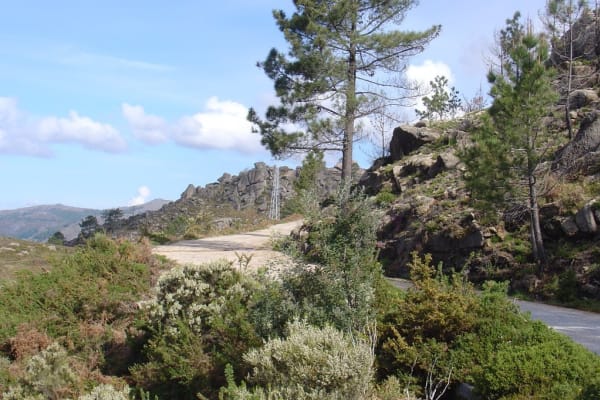 Foto 122 da atividade Galeria de Fotos