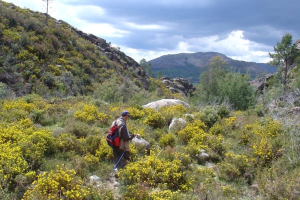 Foto 62 da atividade Galeria de Fotos