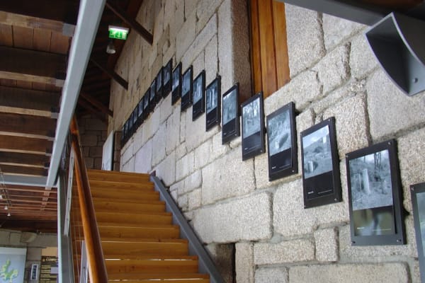 Foto 60 da atividade Galeria de Fotos