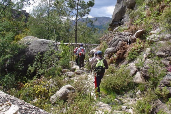 Foto 50 da atividade Galeria de Fotos