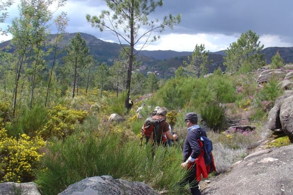 Foto 48 da atividade Galeria de Fotos