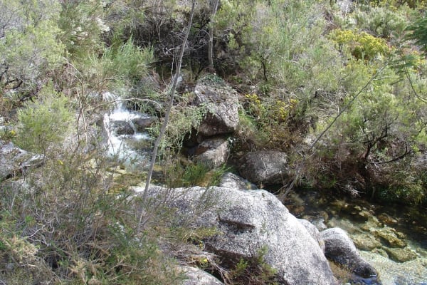 Foto 47 da atividade Galeria de Fotos