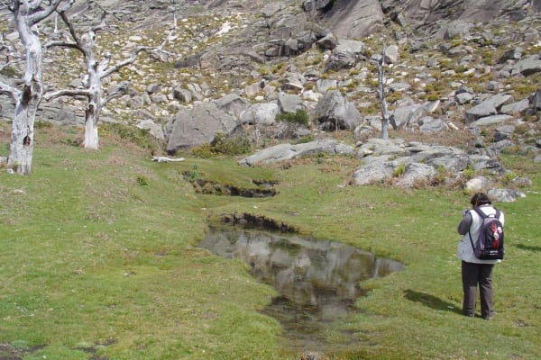 Foto 41 da atividade Galeria de Fotos