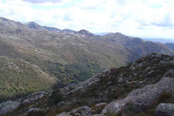 Foto 40 da atividade Galeria de Fotos