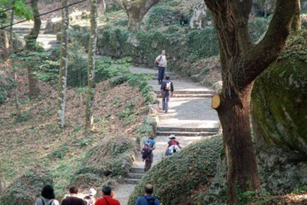 Foto 156 da atividade Galeria de Fotos