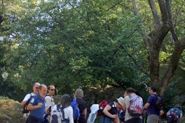 Foto 109 da atividade Galeria de Fotos