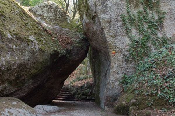 Foto 92 da atividade Galeria de Fotos