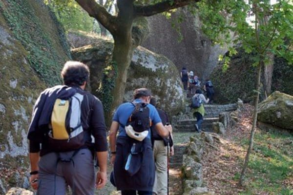 Foto 82 da atividade Galeria de Fotos