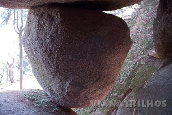 Foto 72 da atividade Galeria de Fotos