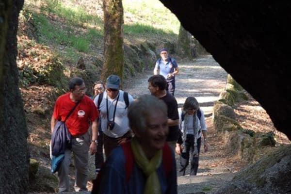 Foto 66 da atividade Galeria de Fotos