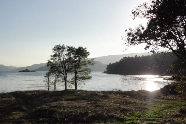 Foto 40 da atividade Galeria de Fotos