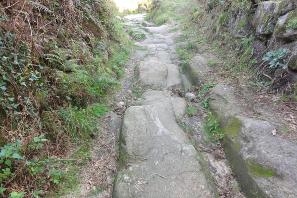 Foto 38 da atividade Galeria de Fotos