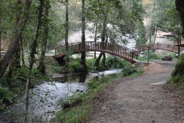 Foto 75 da atividade Galeria de Fotos