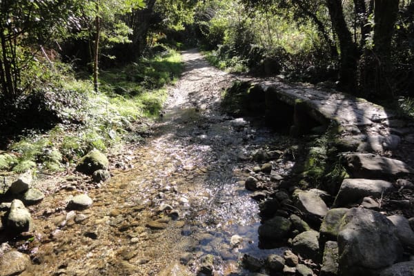 Foto 23 da atividade Galeria de Fotos