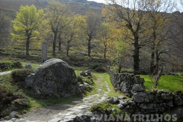 Foto 46 da atividade Galeria de Fotos