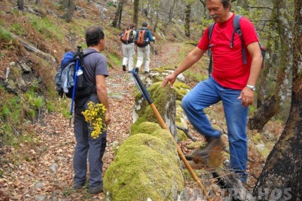 Foto 41 da atividade Galeria de Fotos