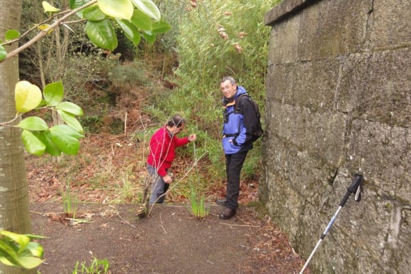 Foto 138 da atividade Galeria de Fotos