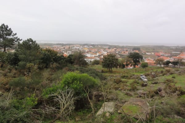 Foto 131 da atividade Galeria de Fotos