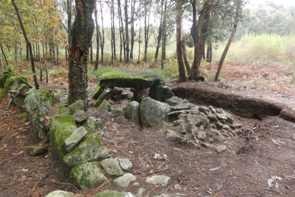 Foto 98 da atividade Galeria de Fotos