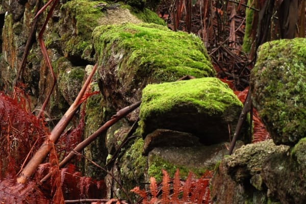 Foto 85 da atividade Galeria de Fotos