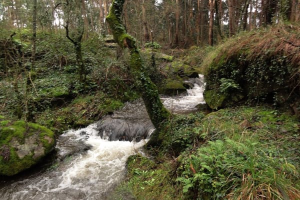 Foto 59 da atividade Galeria de Fotos