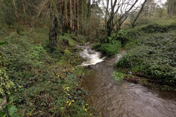 Foto 26 da atividade Galeria de Fotos