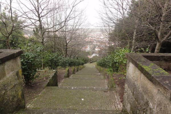 Foto 7 da atividade Galeria de Fotos