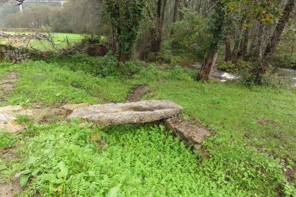 Foto 100 da atividade Galeria de Fotos