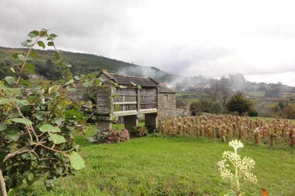 Foto 23 da atividade Galeria de Fotos