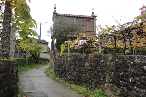 Foto 12 da atividade Galeria de Fotos