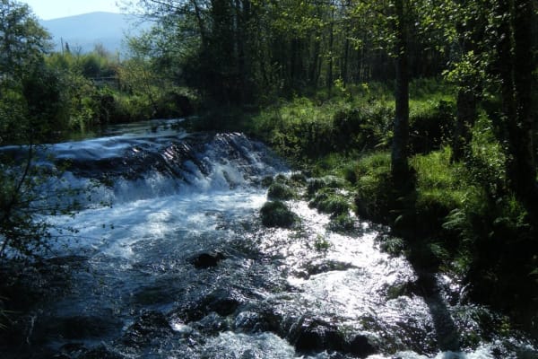 Foto 144 da atividade Galeria de Fotos