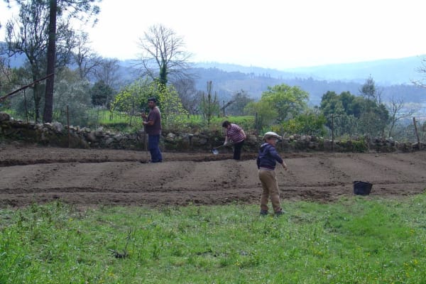 Foto 117 da atividade Galeria de Fotos