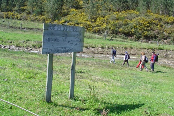 Foto 102 da atividade Galeria de Fotos