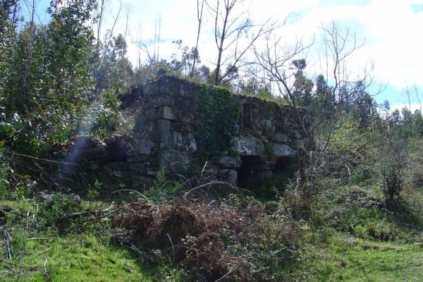 Foto 99 da atividade Galeria de Fotos