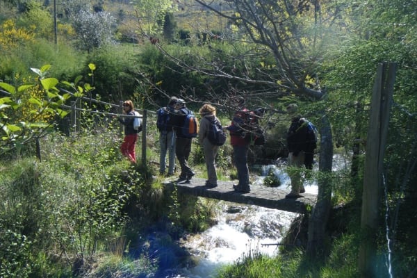 Foto 93 da atividade Galeria de Fotos