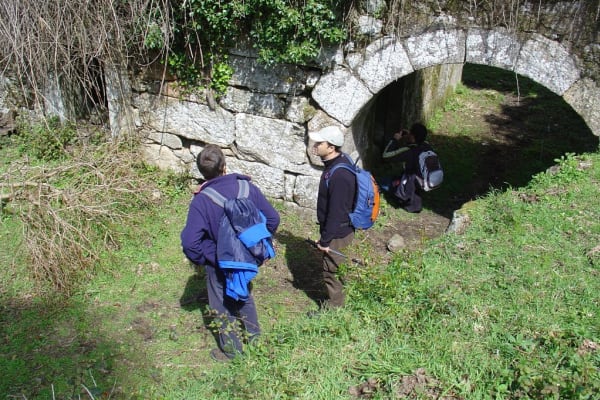 Foto 72 da atividade Galeria de Fotos