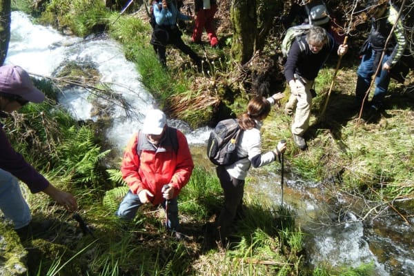 Foto 67 da atividade Galeria de Fotos