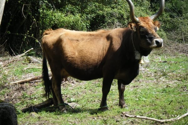 Foto 54 da atividade Galeria de Fotos