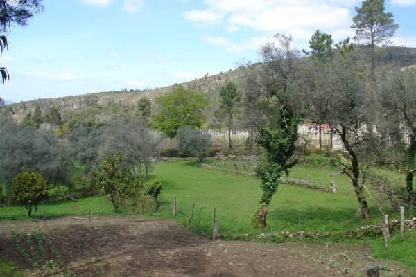 Foto 46 da atividade Galeria de Fotos