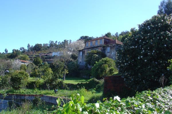 Foto 35 da atividade Galeria de Fotos