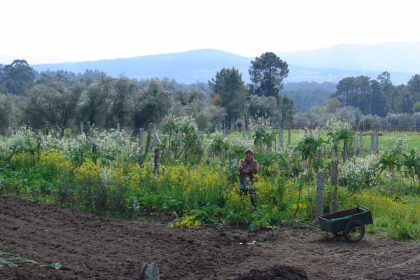 Foto 14 da atividade Galeria de Fotos