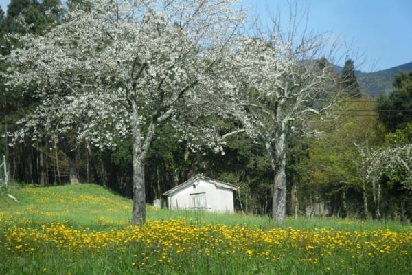 Foto 7 da atividade Galeria de Fotos