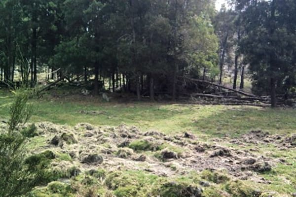 Foto 50 da atividade Galeria de Fotos