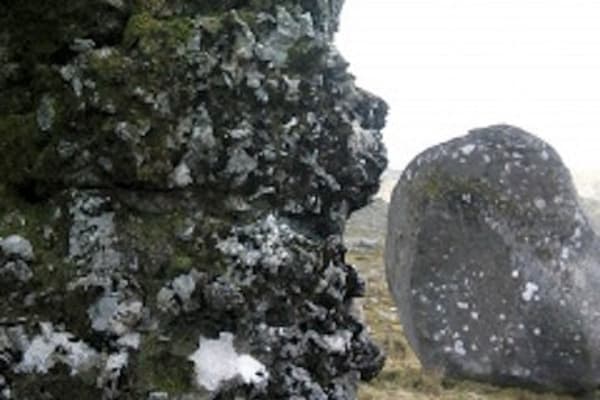 Foto 49 da atividade Galeria de Fotos