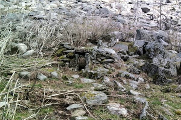 Foto 46 da atividade Galeria de Fotos