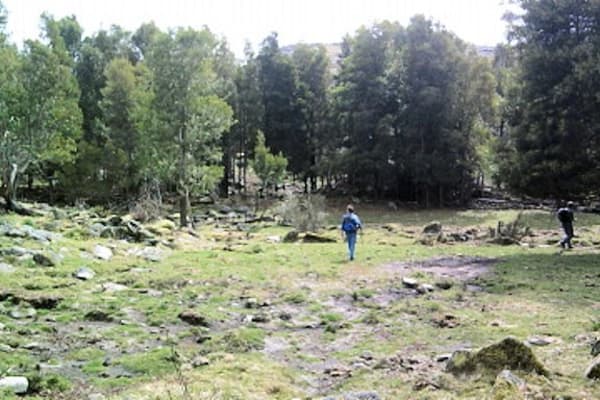 Foto 47 da atividade Galeria de Fotos