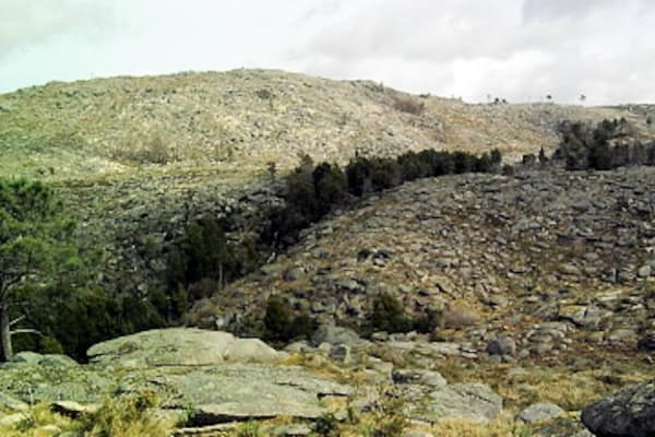 Foto 37 da atividade Galeria de Fotos