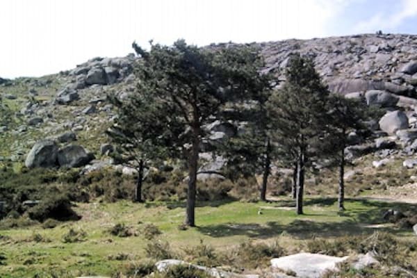 Foto 31 da atividade Galeria de Fotos