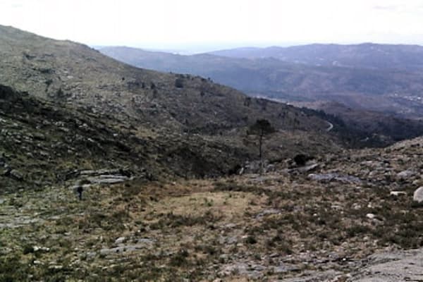 Foto 16 da atividade Galeria de Fotos