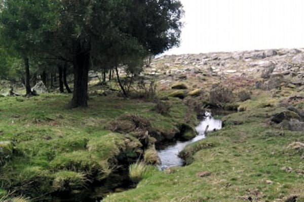 Foto 6 da atividade Galeria de Fotos